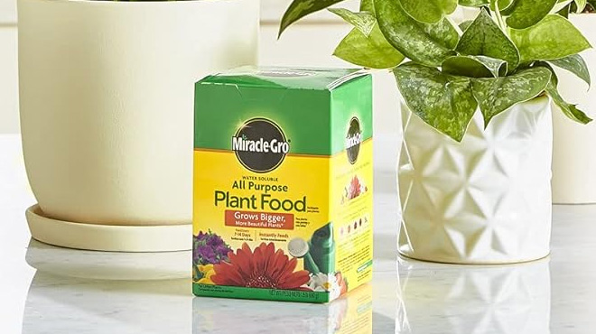 Miracle Gro Water Soluble All Purpose Plant Food Box on a Table next to Plants