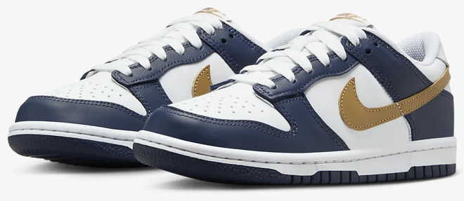 Nike Dunk Low Kids Shoes