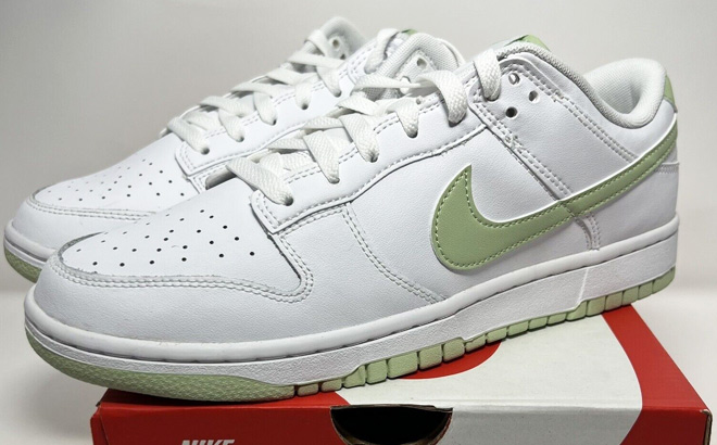 Nike Dunk Low Retro Mens Shoes on the Box