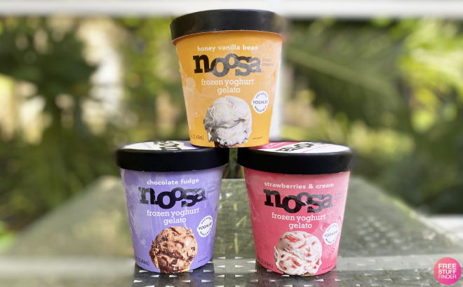 Noosa Frozen Yogurt Gelato in Different Flavors