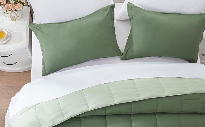 Queen 3 Piece Comforter Set in Green Color 1