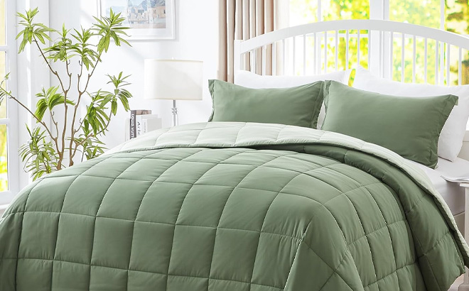 Queen 3 Piece Comforter Set in Green Color