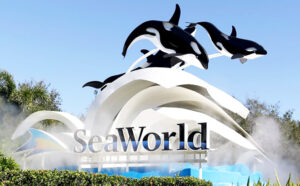 SeaWorld Theme Park