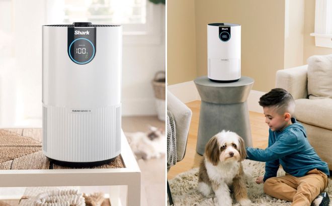 Shark Clean Sense Air Purifier with Odor Neutralizer Technology