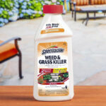 Spectracide Weed and Grass Killer