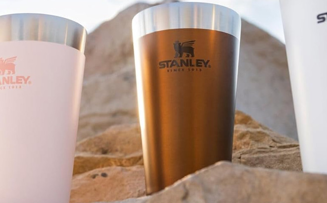 Stanley Adventure Stacking Beer Pint 16 oz