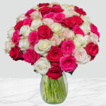 Valentines Day 50 stem Shades of Pink Roses