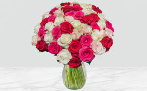 Valentines Day 50 stem Shades of Pink Roses