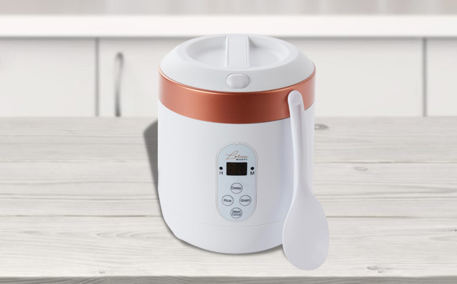 1 5 Cup Mini Multi Cooker with Measuring Cup on a Kitchen Table