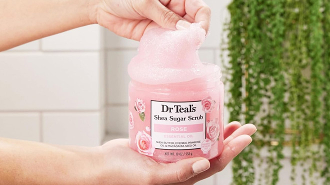 A Hand holding a Dr Teals Shea Sugar Body Scrub