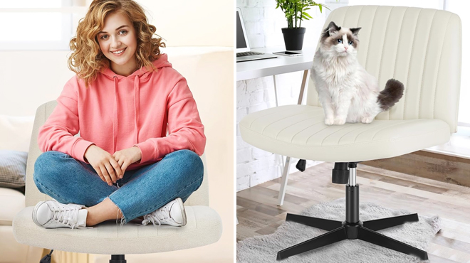 A Person Sitting on Criss Cross Leather Office Chair on the Left and a Cat Sitting on the Same Item on the Right