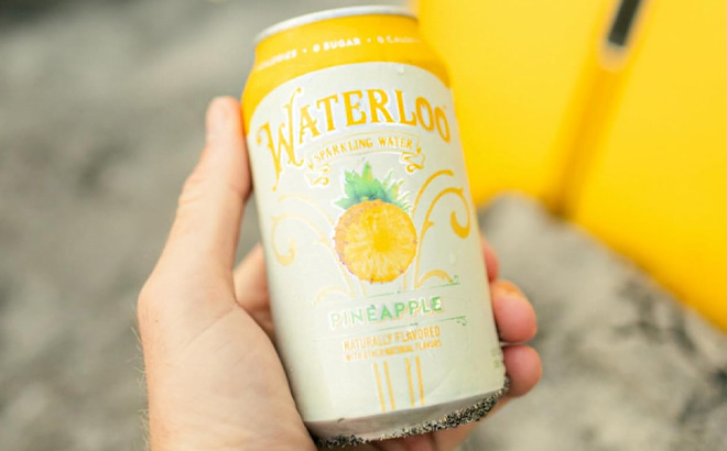 A Person is Holding Waterloo Sparkling Water