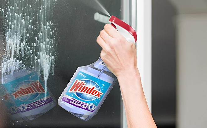 A Person is Holding Windex Ammonia Free Glass and Window Cleaner Spray Bottle