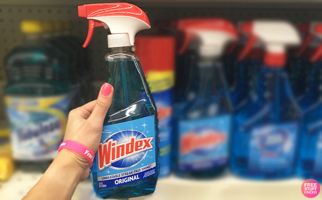 A Person is Holding Windex Glass and Window Cleaner