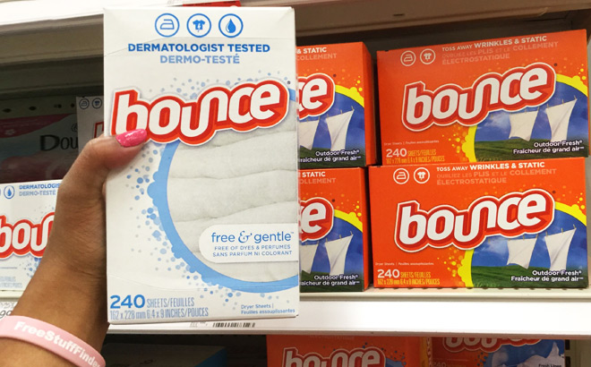 A Woman Holding Bounce 240 Count Dryer Sheets