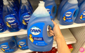 A Woman Holding Dawn 56 Ounce Ultra Liquid Dish Soap