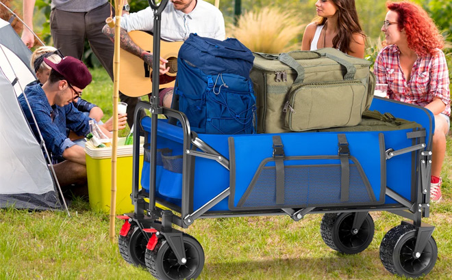 Bags in the blue Camping Garden Wagon