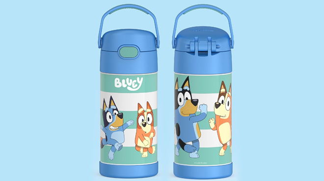 Bluey Thermos Funtainer 12 oz Kids Straw Bottle