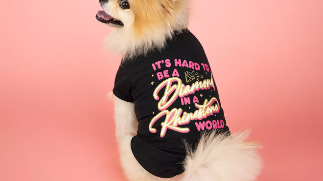 Doggy Parton Black Hard To Be A Diamond T Shirt