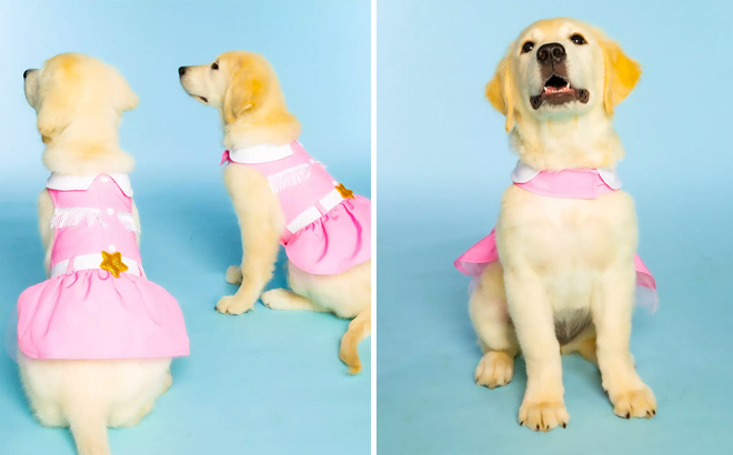 Doggy Parton Pink Cowgirl Collared Dress