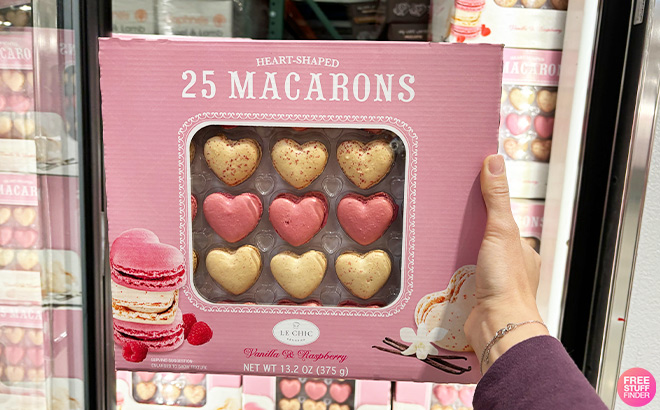 Hand Holding Heart Shaped Macarons