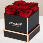 Lovappy Preserved Roses in A Box 4 Piece Set