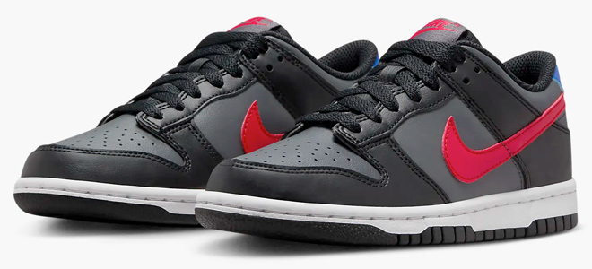 Nike Dunk Low Big Kids Shoes 4