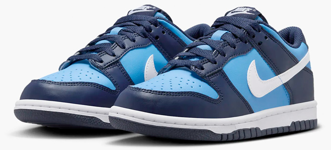 Nike Dunk Low Big Kids Shoes Blue