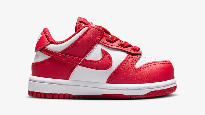 Nike Dunk Low Toddler Shoes