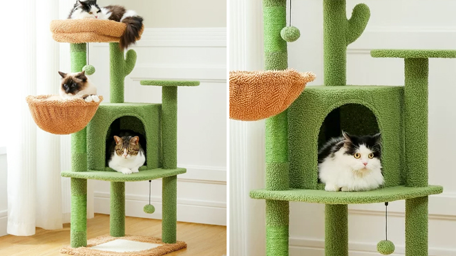 PAWZ 42 Inch Cactus Cat Scratching Posts Tower