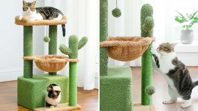 PAWZ Road Cat Cactus Scratching Tree