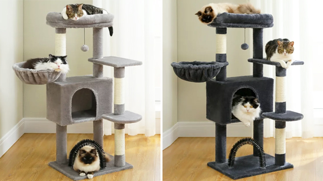 PAWZ Road Cat Tree in Light Gray on the Left and Dark Gray on the Right