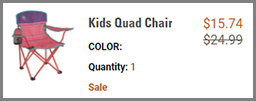 Screenshot of Coleman Kids Quad Chair Discounted Final Price with Promo Code at Coleman Checkout Page