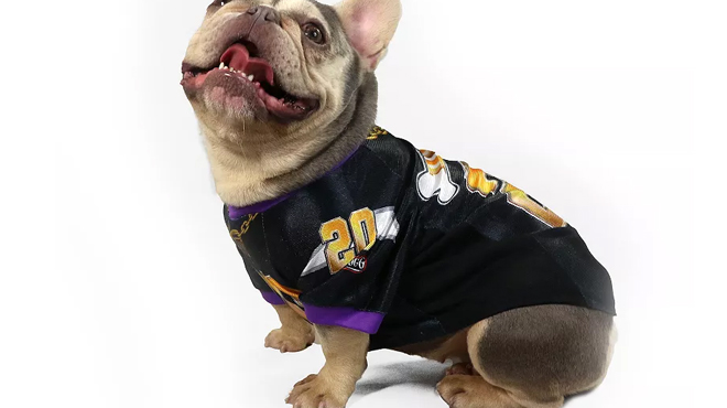 Snoop Doggie Doggs Deluxe Dog Jersey in Off the Chain Color