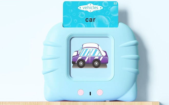 Talking Flash Cards Toy