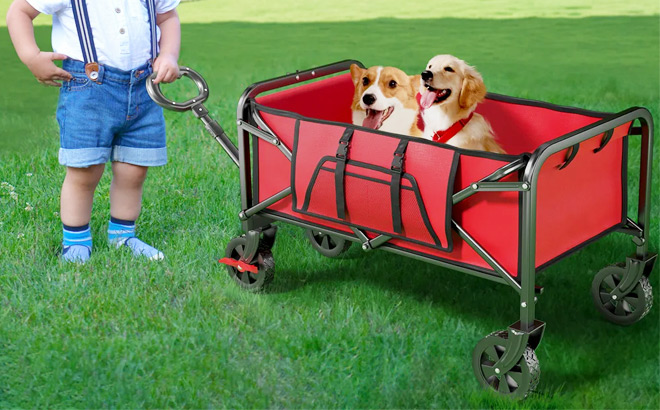 Two Dogs in a Mini Camping Wagon