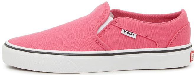 VANS Womens Asher Slip On Sneakers