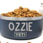 Yeti Dog Bowl filled with Dog Food