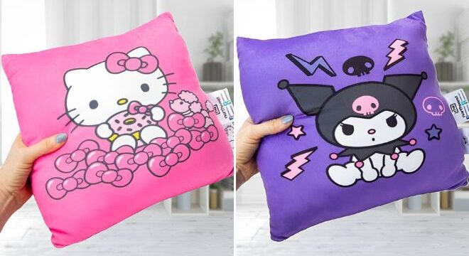 A Person Holding Sanrio Travel Cloud Pillows