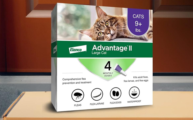 Advantage II Large Cat Flea Treatment Prevention 4 Pack