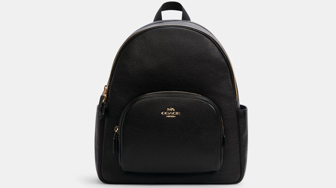 Coach Outlet Court Backpack