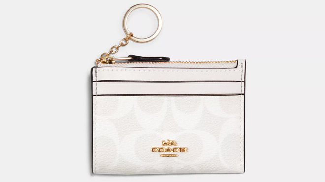 Coach Outlet Mini Skinny Id Case In Signature Canvas