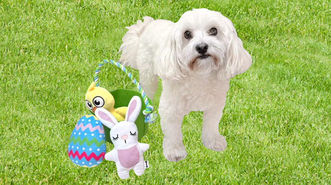 Dog Playing with Woof Easter Basket Dog Toys Egg Bunny Chick