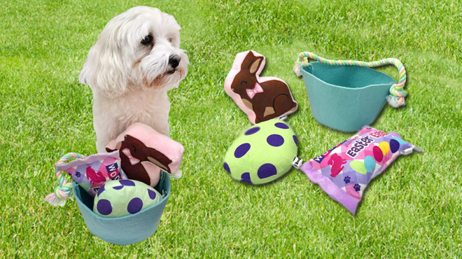 Dog Playing with Woof Easter Basket Dog Toys