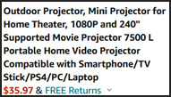 Mini Projector Order Summary