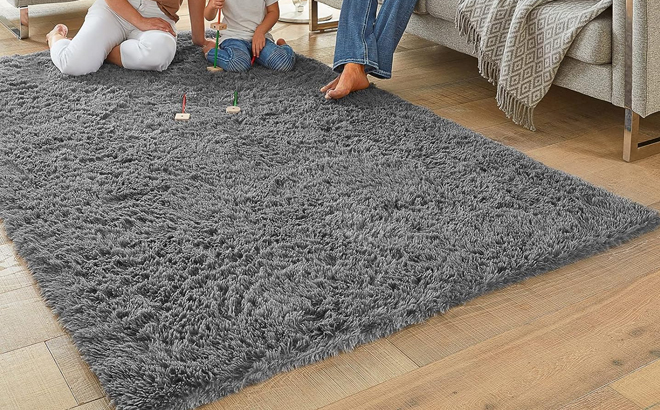 Ophanie 4x6 Area Rug