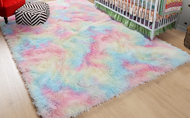 Pagisofe 4x6 Rainbow Fluffy Soft Plush Area Rug