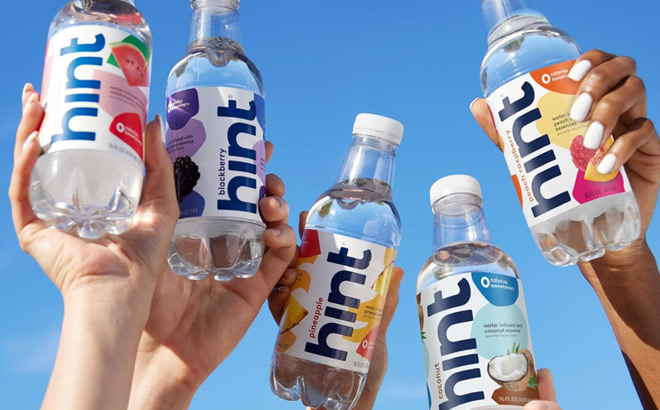 People Holding Hint Water Bottles