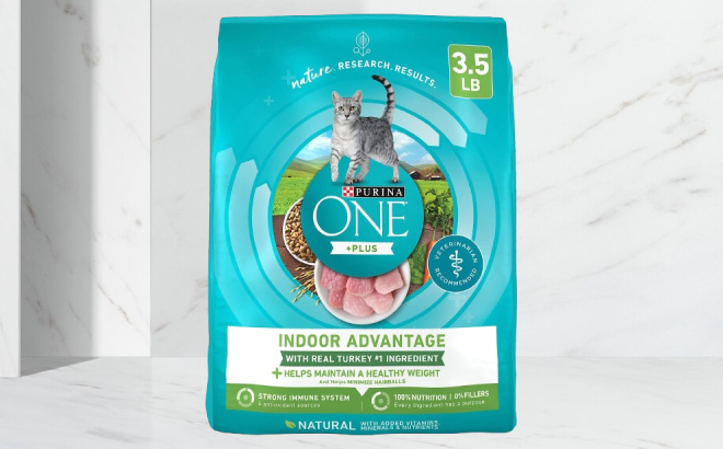 Purina ONE Natural Dry Cat Food