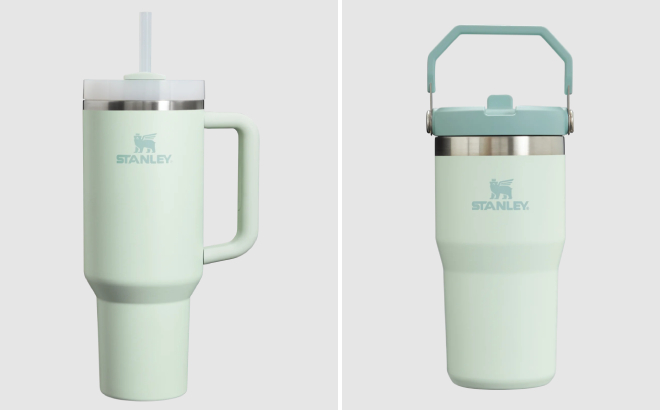 Stanley The Quencher Flowstate 2 0 Tumbler and The IceFlow Flip Straw Tumbler